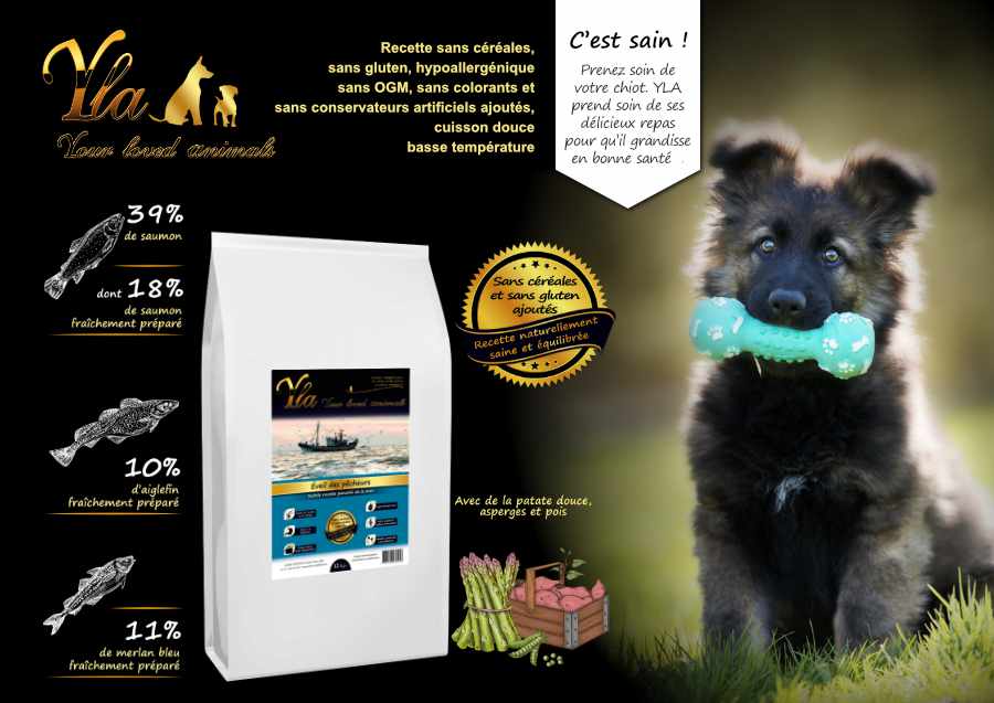 croquettes-sans-cereales-pour-chiots-et-jeunes-chiens