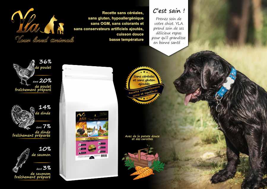 croquettes-sans-cereales-pour-chiots