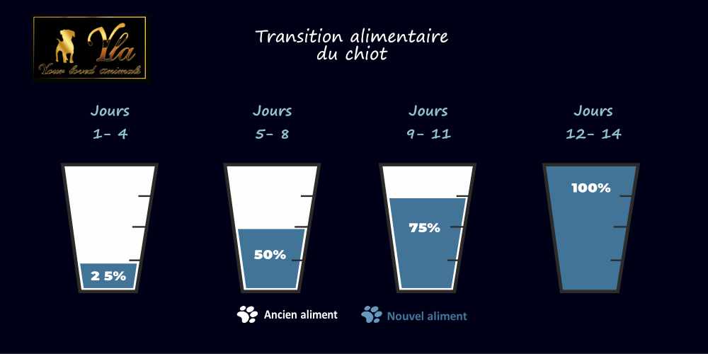 transition-alimentaire-chiot-changement-de-nourriture-chiot