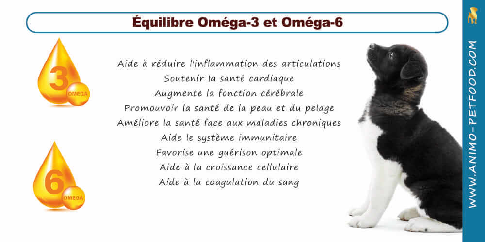 equilibre-omega-3-et-omega-6-chez-le-chiot
