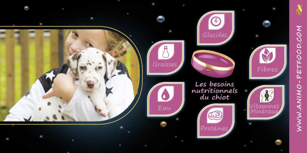 guide-d-alimentation-de-votre-chiot