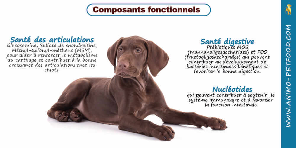 ingredients-fonctionnels-chiot