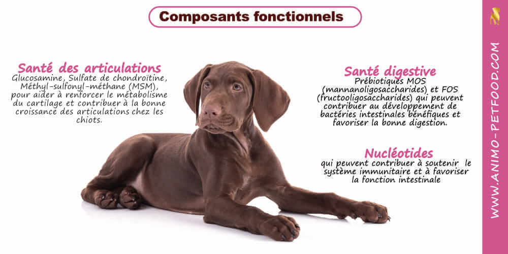 ingredients-fonctionnels-pour-chiot