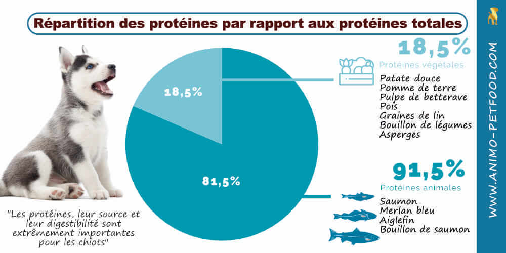 les-proteines-pour-chiot