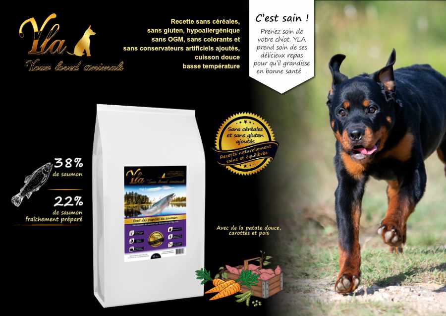 croquettes-sans-cereales-pour-chiot-et-jeune-chien-de-grande-race