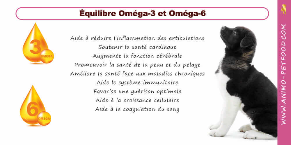 omega-6-et-omerga-3-pour-chiot