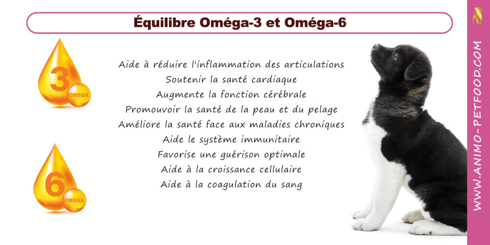omega-pour-chiots