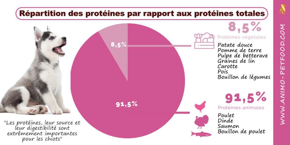 proteines-pour-chiot