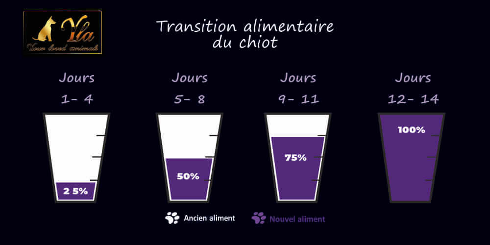 transition-alimentaire-comment-changer-la-nourriture-de-mon-chiot