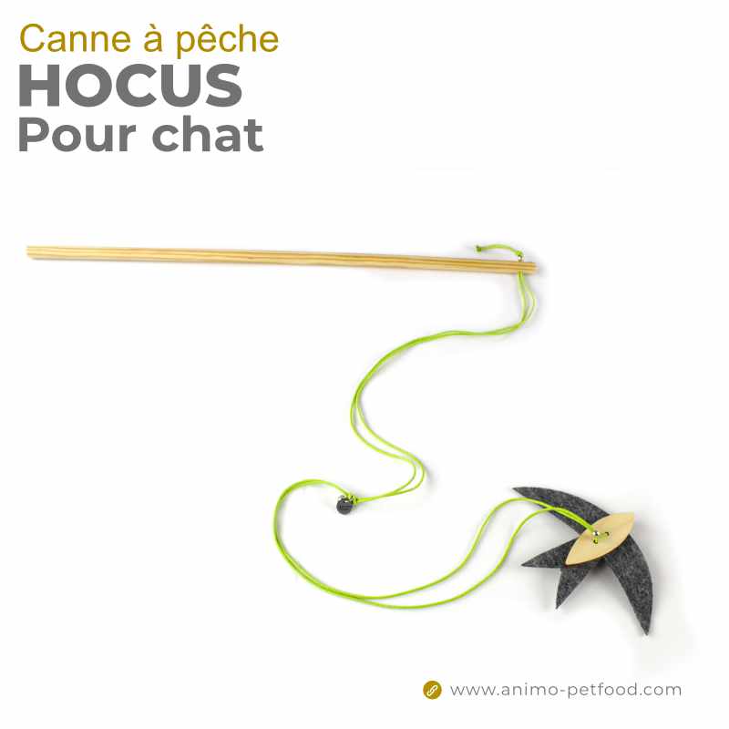 canne-a-peche-pour-chat