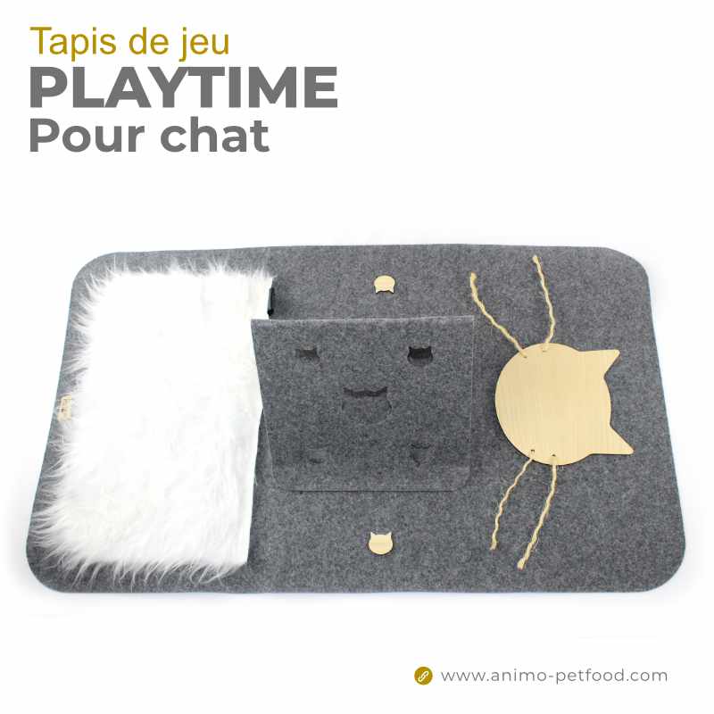 tapis de jeux pour chat