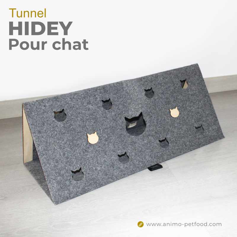 tunnel-pour-chat