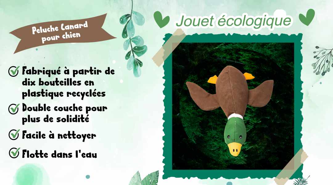 jouet-eco-responsable-pour-chien-en-plastique-recycle