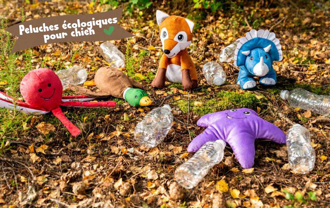 jouet-eco-responsable-pour-chien-en-plastique-recycle