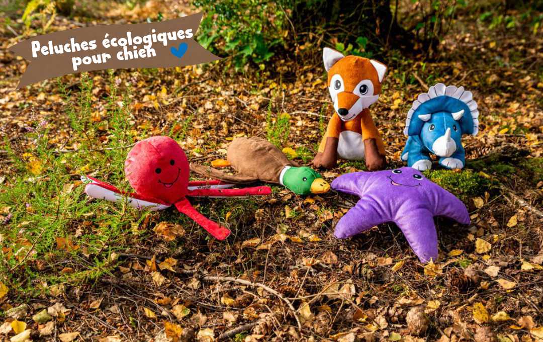 jouet-pour-chien-eco-responsable-en-plastique-recycle