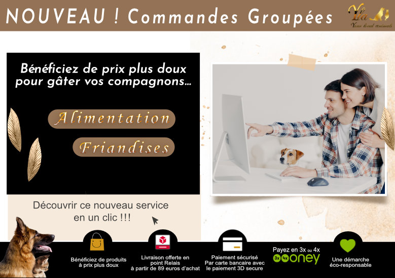croquettes-pour-chiens-allergiques
