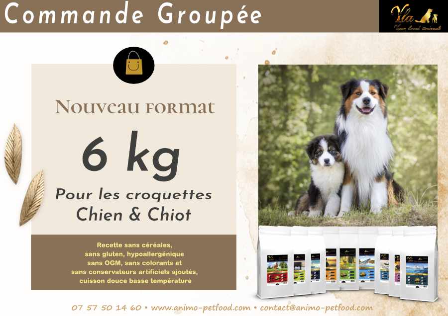 commande groupée croquettes pour chien