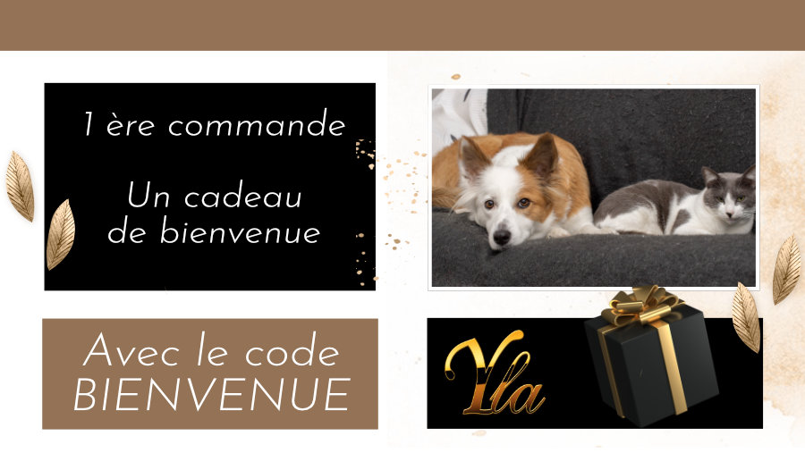 CROQUETTES SANS CEREALES POUR CHIEN ET CHAT