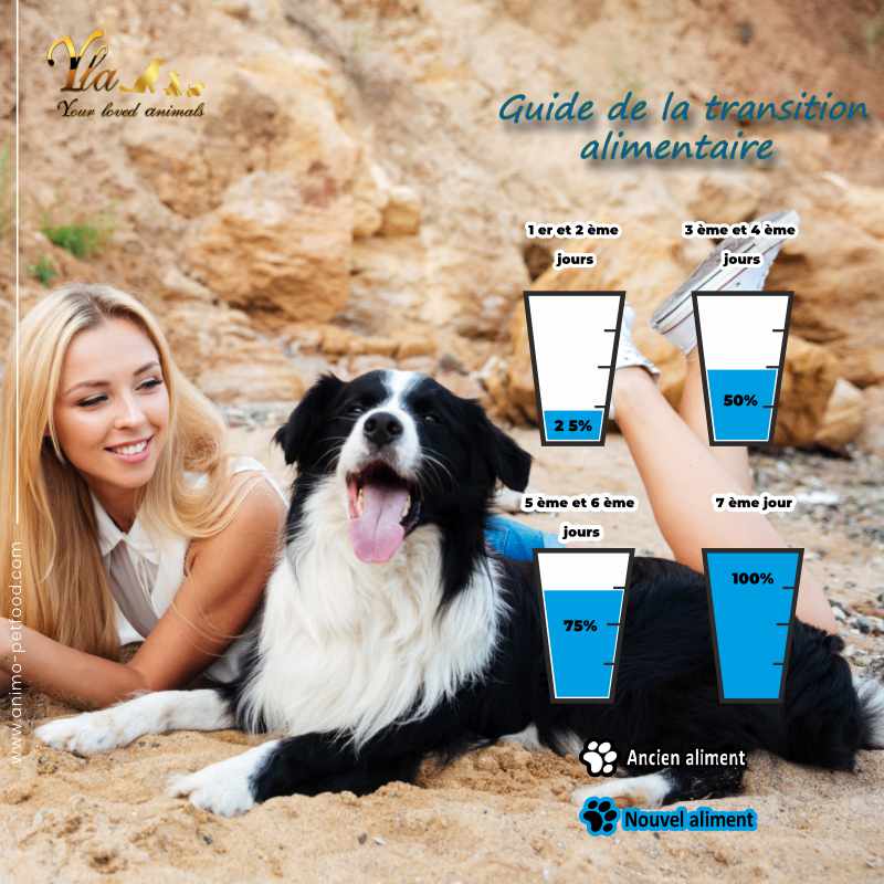 changement–aliment-chien