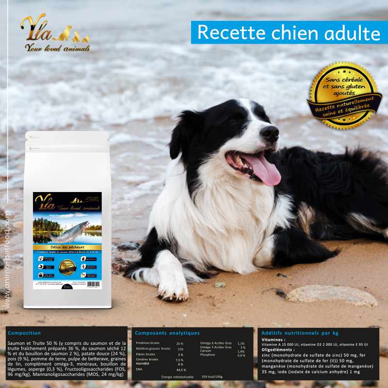 nourriture-pour-chien-estomac-sensible