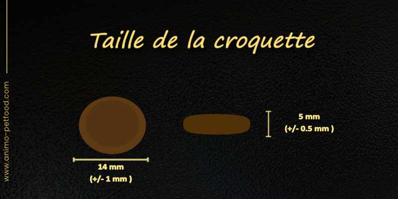 taille-croquette-alimentation-pour-chien-sensible