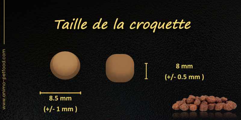 croquettes-chiot-sensible-probleme-de-peau