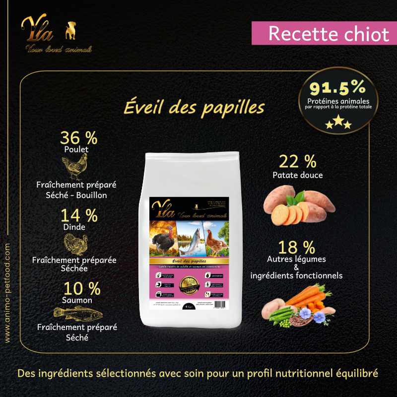 croquettes-sans-cereale-pour-chiot-avec-probleme-de-digestion