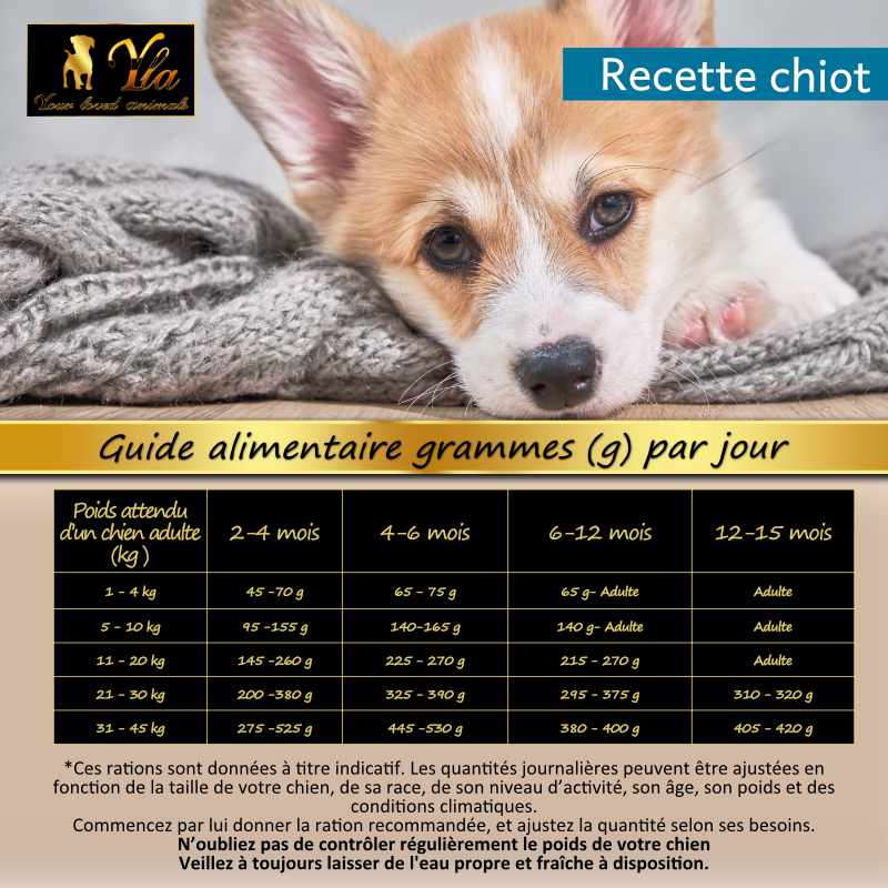 guide-alimentaire-pour-chiot
