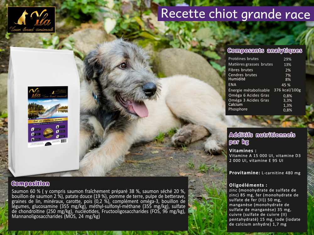 alimentation-au-saumon-pour-chiot-de-grande-race