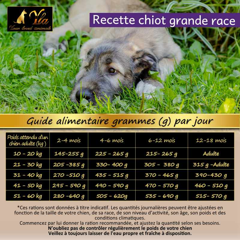 comment-calculer-la ration-de-croquette-pour-un-chiot