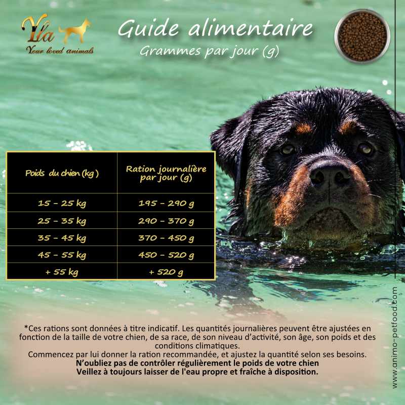 alimentation-sans-cereales-ration-chiens-grandes-races