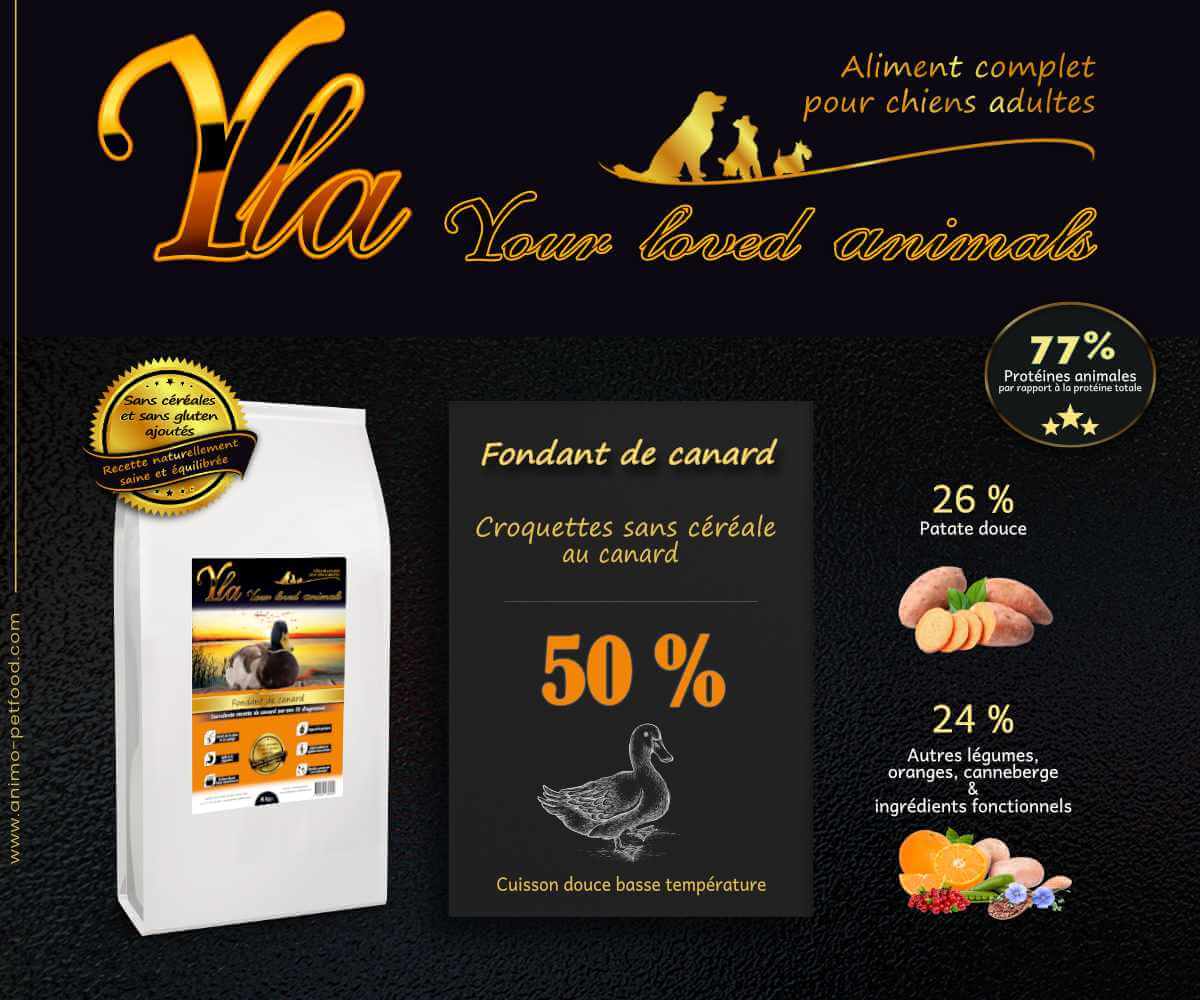 alimentation-chien-sans-cereale-ni-gluten-pour-problemes-de-digestion