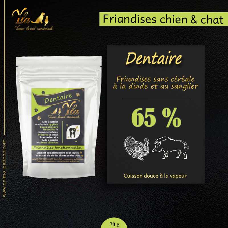 dentaire-friandises-fonctionnelles-pour-chien-et-chat