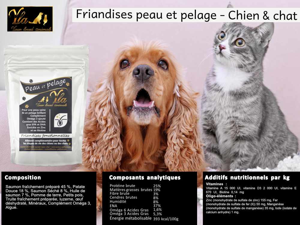 friandises-peau-pelage-chien-chat