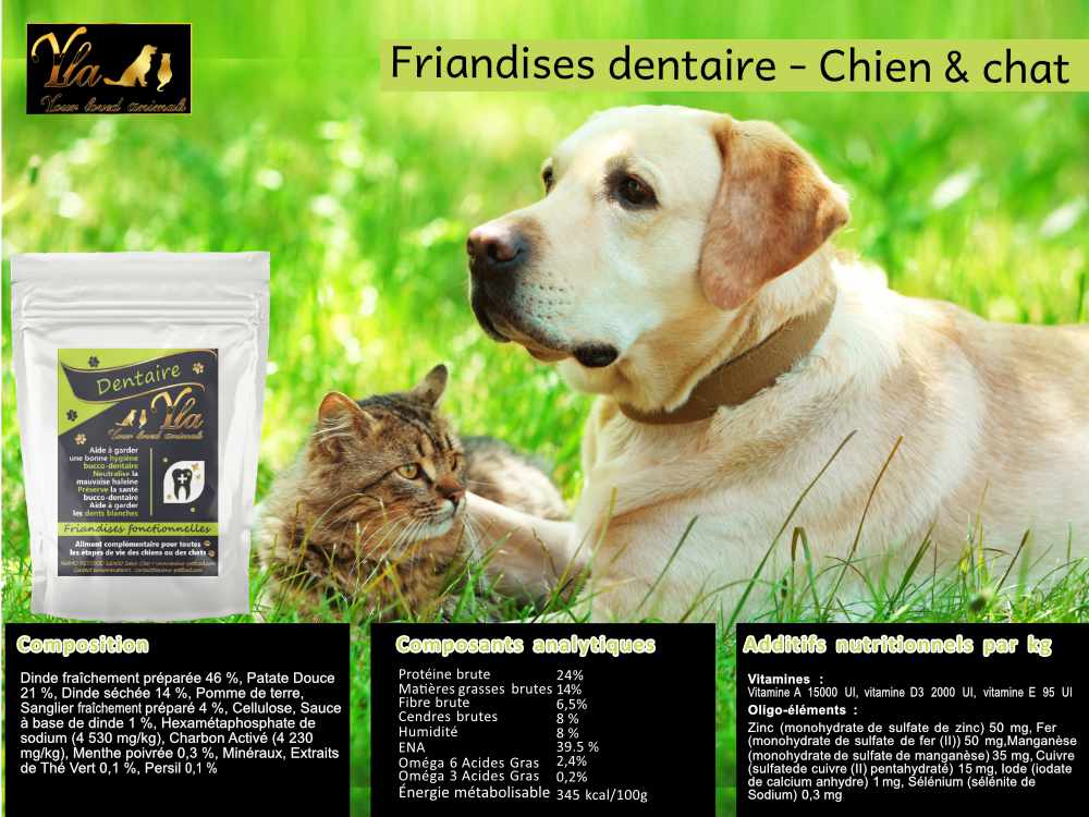 friandises-pour-l-hygiene-bucco-dentaire-chien-chat