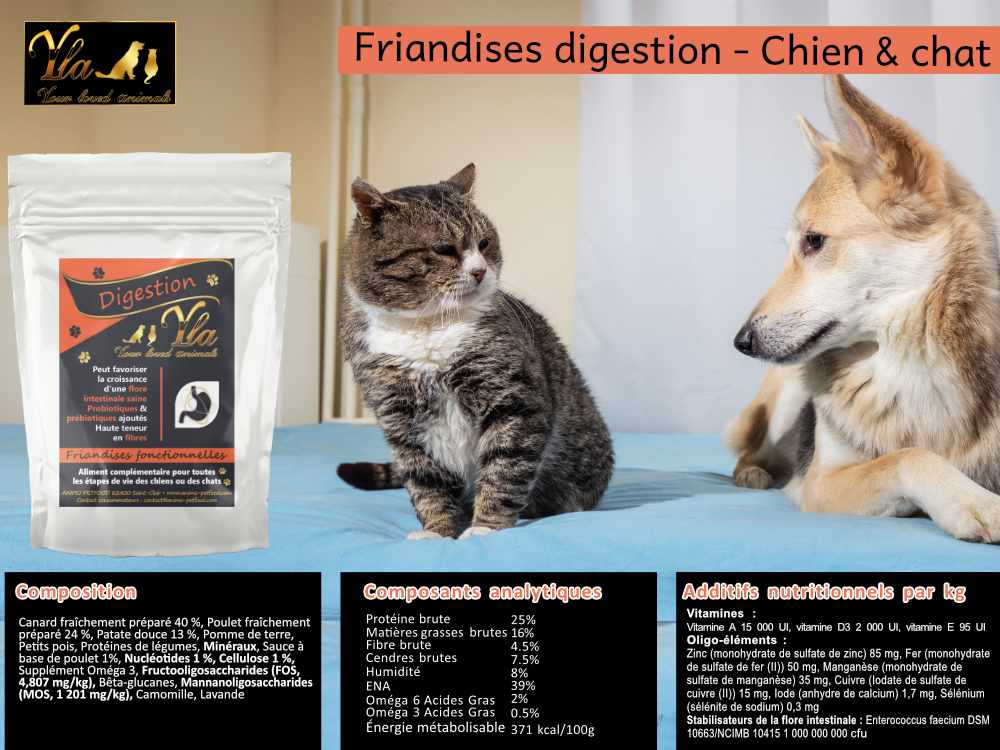 digestion-friandises-chien-et-chat