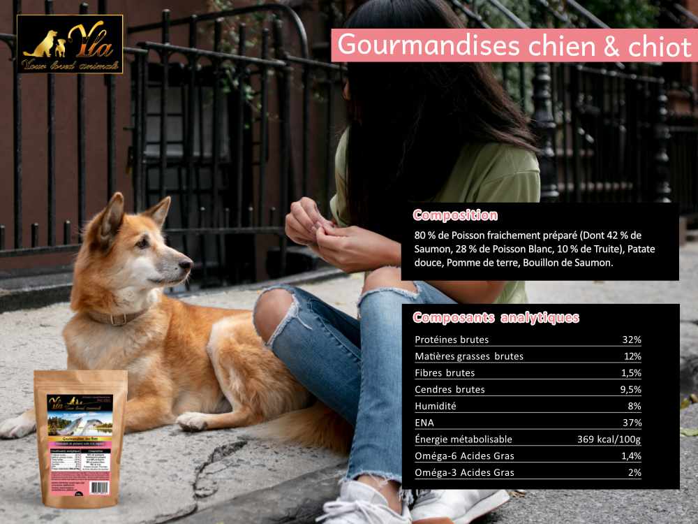 friandises-gourmandises-sans-cereales-pour-chien