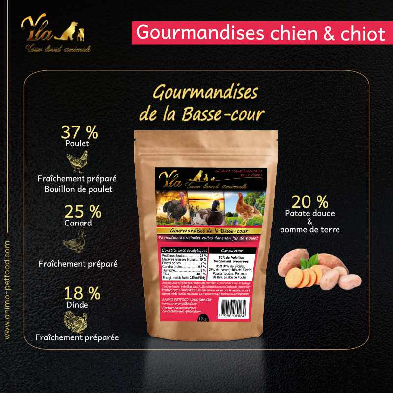 friandises-pour-chien-et-chiot