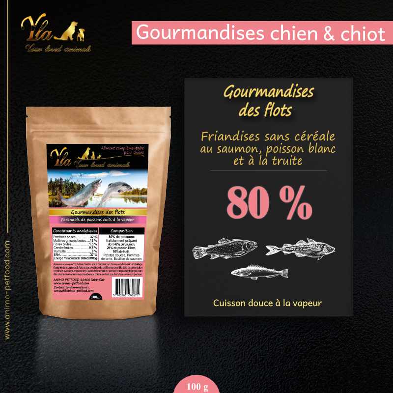 friandises-recompenses-pour-chien