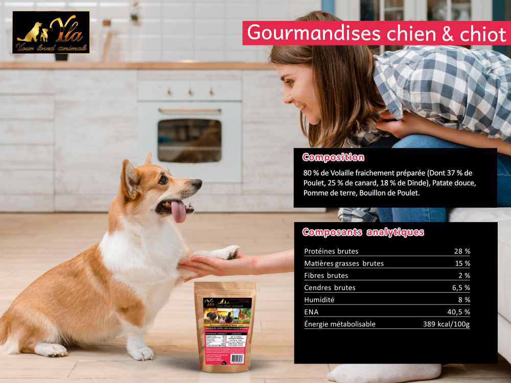 friandises-gourmandises-sans-cereales-pour-chiens