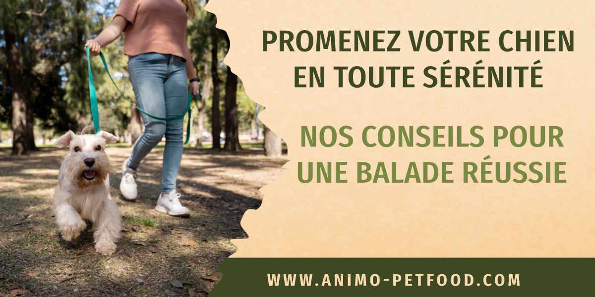 conseils-pour-la-promenade-avec-votre-chien