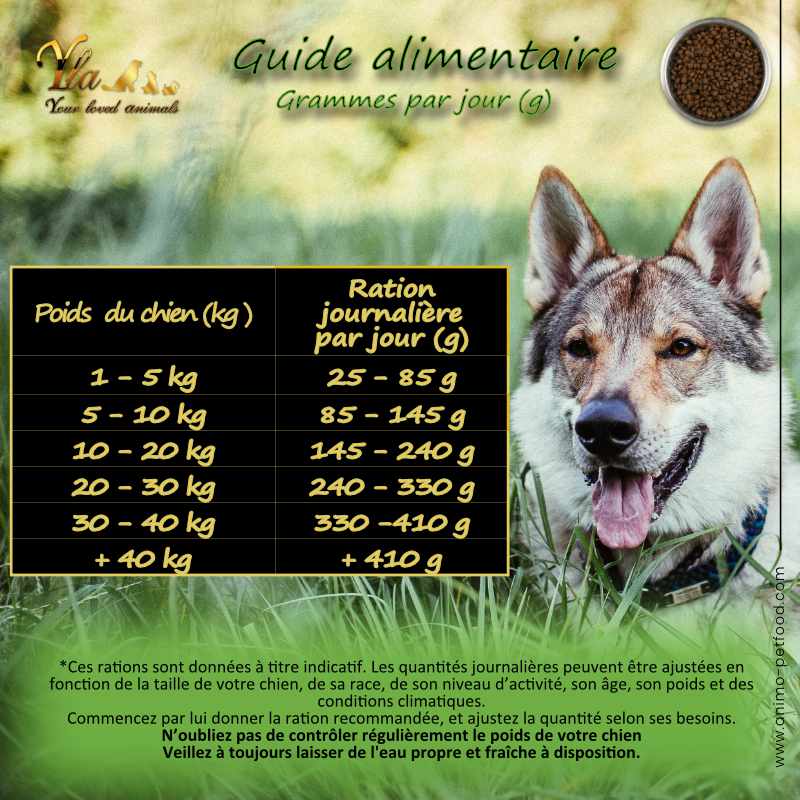 ration-besoin-journalier-alimentation-chien