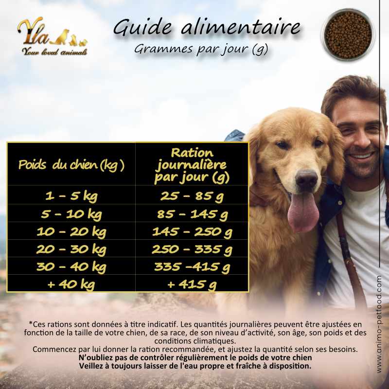 croquettes-pour-chiens-avec-systeme-digestif-sensible