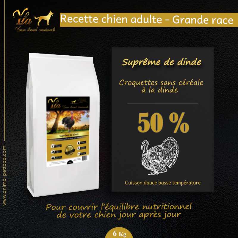 alimentation-pour-chiens-a-la-digestion-sensible