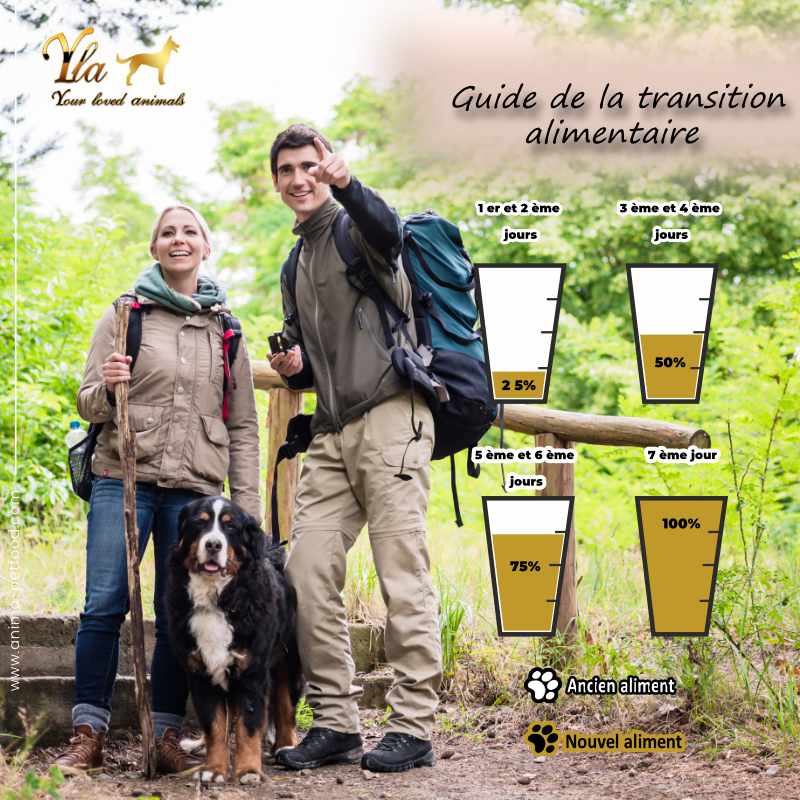 changer-l-alimentation-de-son-chien