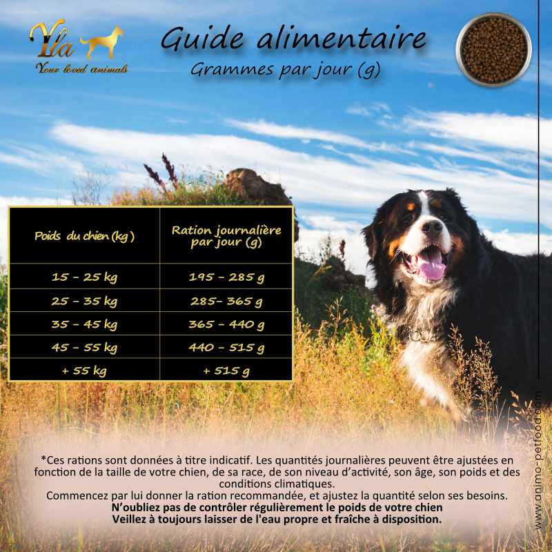 <div class="container"> <div class="row"> <div class="col-sm-4"></div> <div class="col-sm-4"><img src="https://www.animo-petfood.com/img/cms/2023/SAVEUR%20DES%20PRES/guide-alimentaire-chien.jpg" alt="" style="margin-left: auto; margin-right: auto;" width="800" height="800" /><br /><br /><img src="https://www.animo-petfood.com/img/cms/2023/SAVEUR%20DES%20PRES/transition-alimentaire-chez-le-chien_1.jpg" alt="" width="800" height="800" /></div> </div> </div>