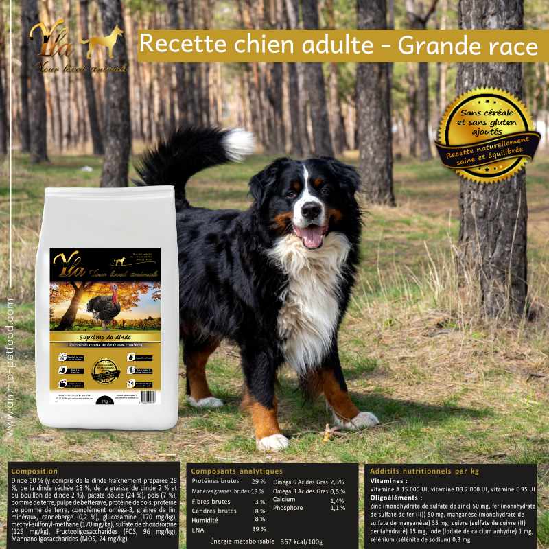 croquettes-pour-chien-avec-une-digestion-sensible