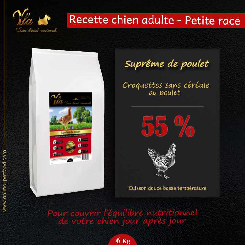 alimentation-sans-cereale-pour-petit-chien