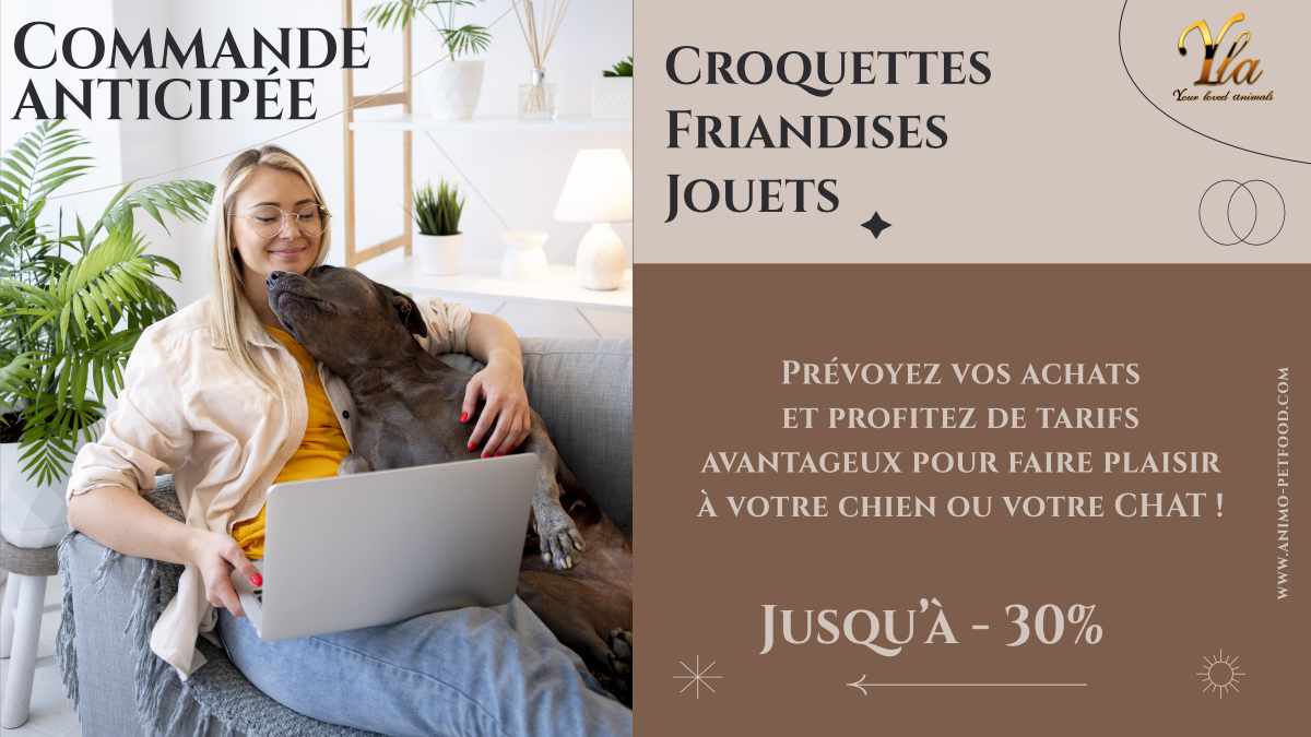 offre-speciale-croquettes-friandises-jouets-chien-chat