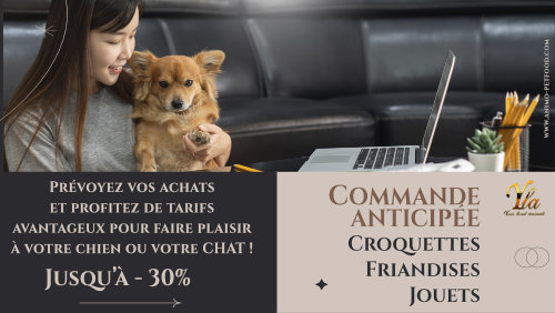 offre-speciale-croquettes-friandises-jouets-chiens-chats